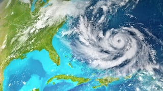 Hurricane Impact Doors in South Florida: Protecting Your Home featured image