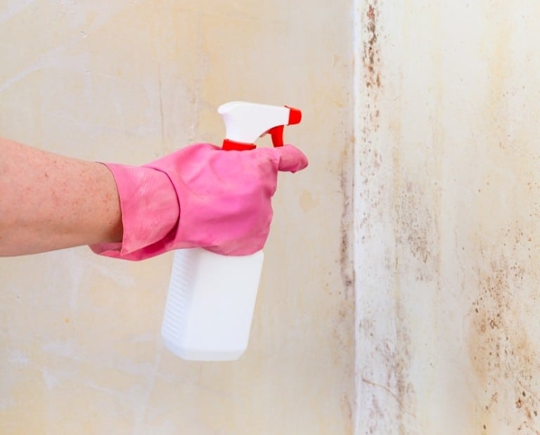 removing of mold from wall with liquid spray 2021 08 26 23 03 21 utc 1 removing of mold from wall with liquid spray 2021 08 26 23 03 21 utc 1